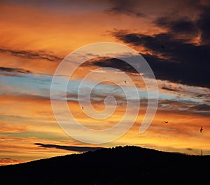 Sunset with birds in LitomÃâºÃâ¢ice